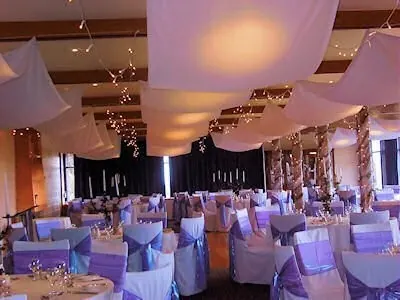 Ceiling Light Decor for Fabric Draping on Ceiling.
