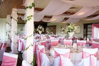 Ceiling Decor for Ceiling draping