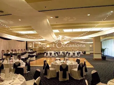Ceiling draping for Ceiling draping