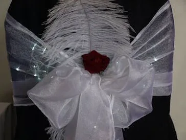 Chair Covers Sashes 04