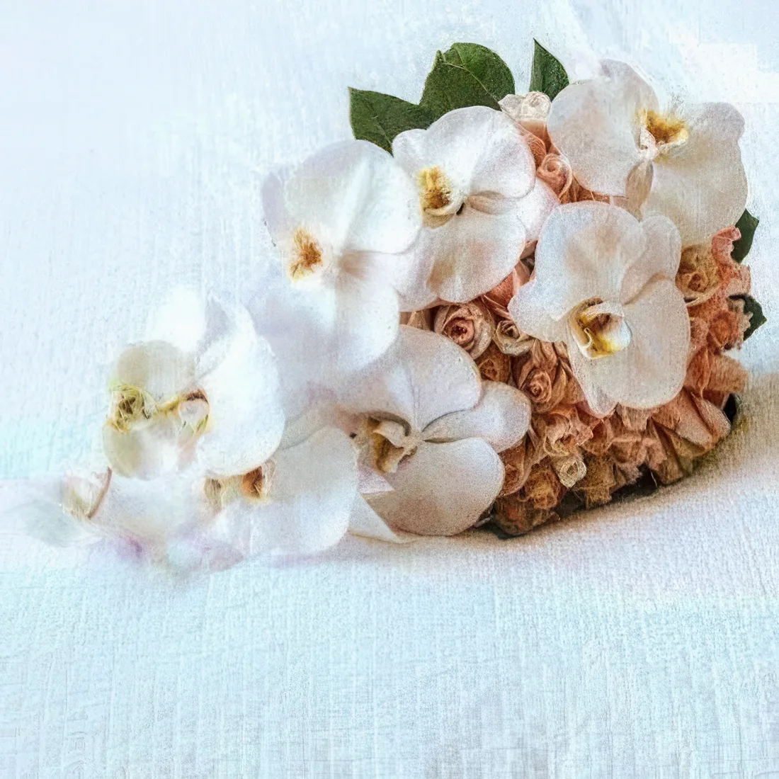 White Orchid Detail