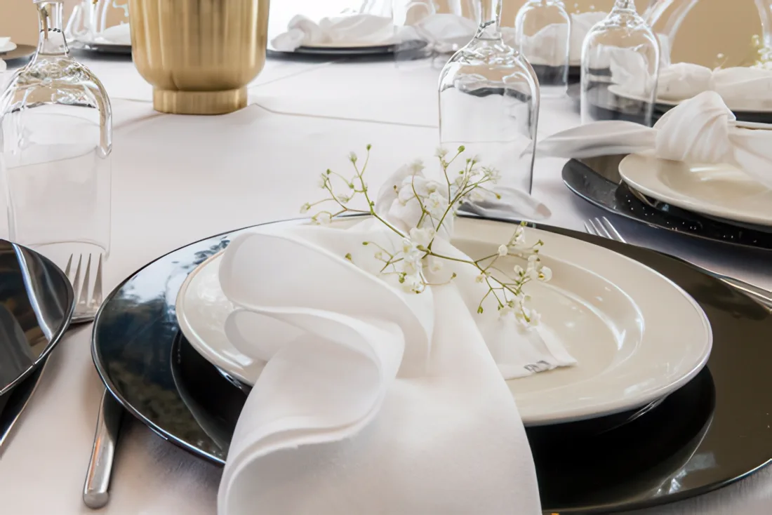 Plates Charger Plates 04