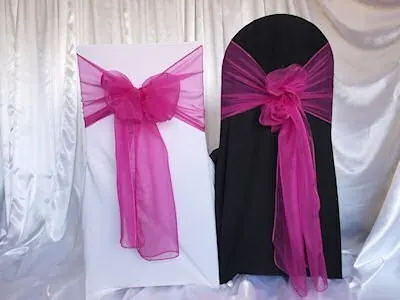 Fuschia organza sash for Fuschia organza sash