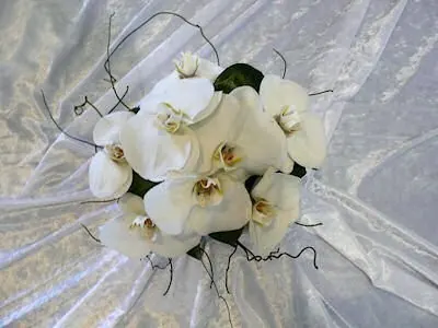 White Bridesmaids Bouquets for Phalenopsis orchid posy