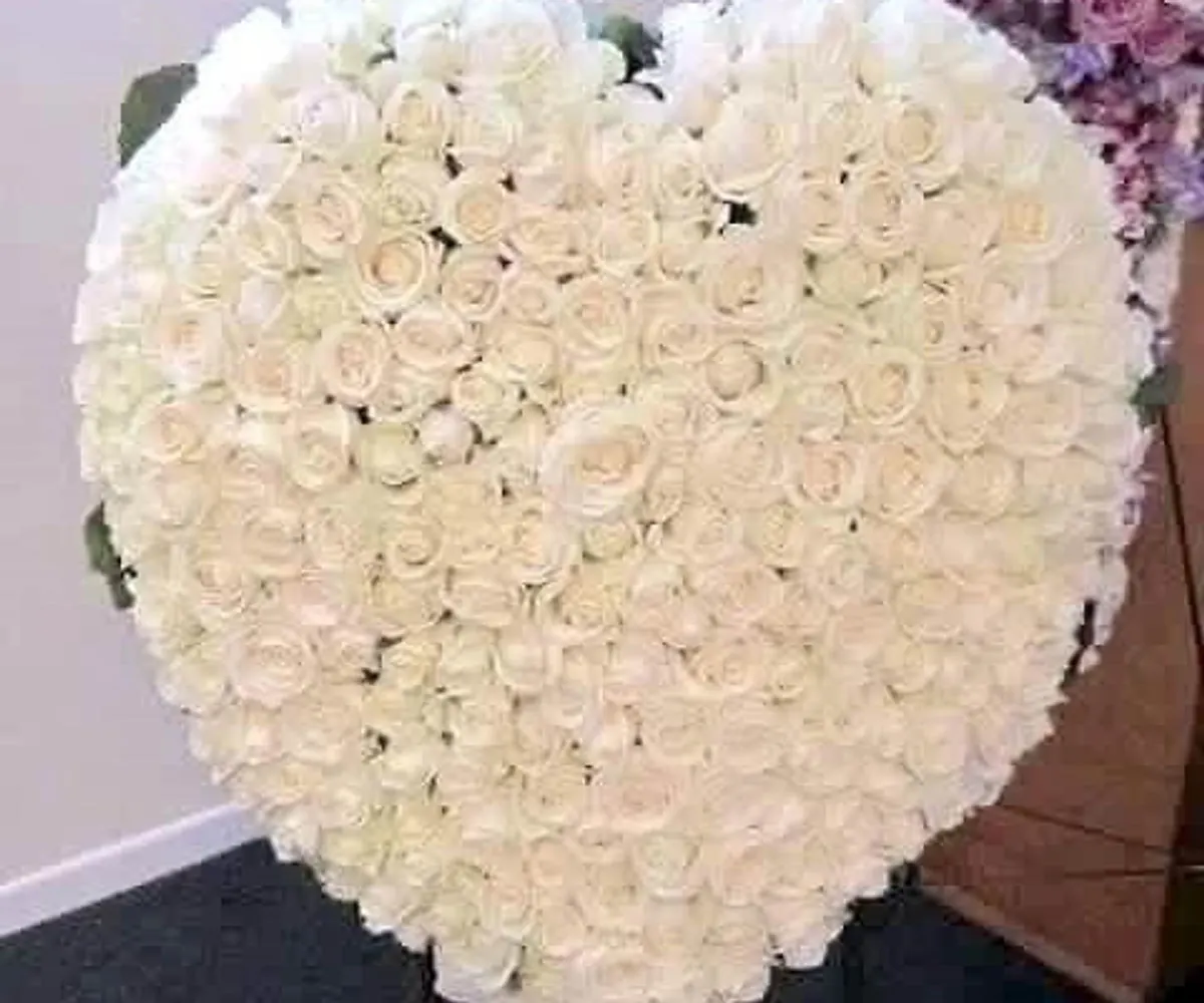 pure heart