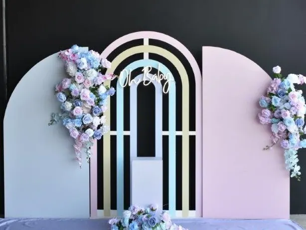 Baby Shower Backdrop for Baby shower in pink and blue