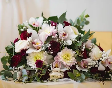 Cymbidium Orchids for Cymbidium Orchids