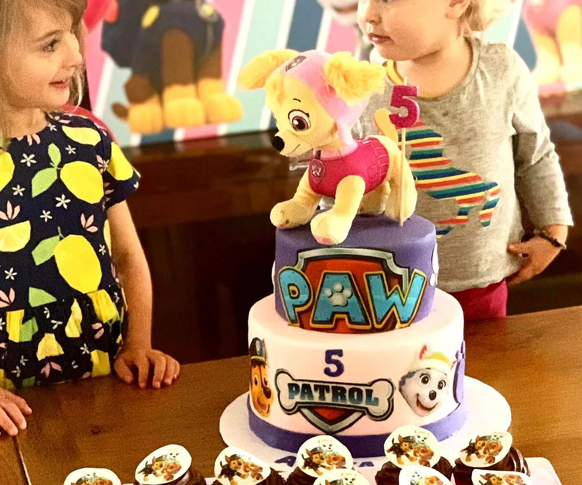 Paw patrol theme party