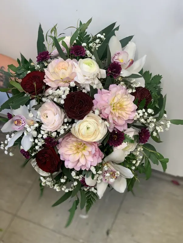 Cymbidium orchids for Cymbidium orchids