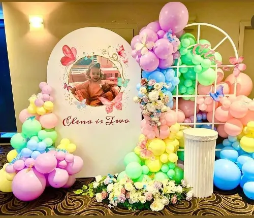 Butterfly Theme Backdrop for Balloons and butterflies