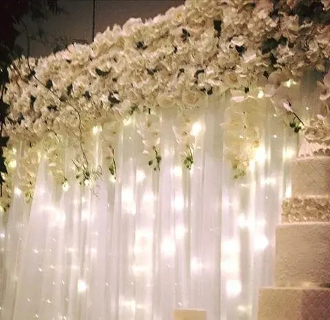 Fairy Light Backdrop for Lights and floral backdrop