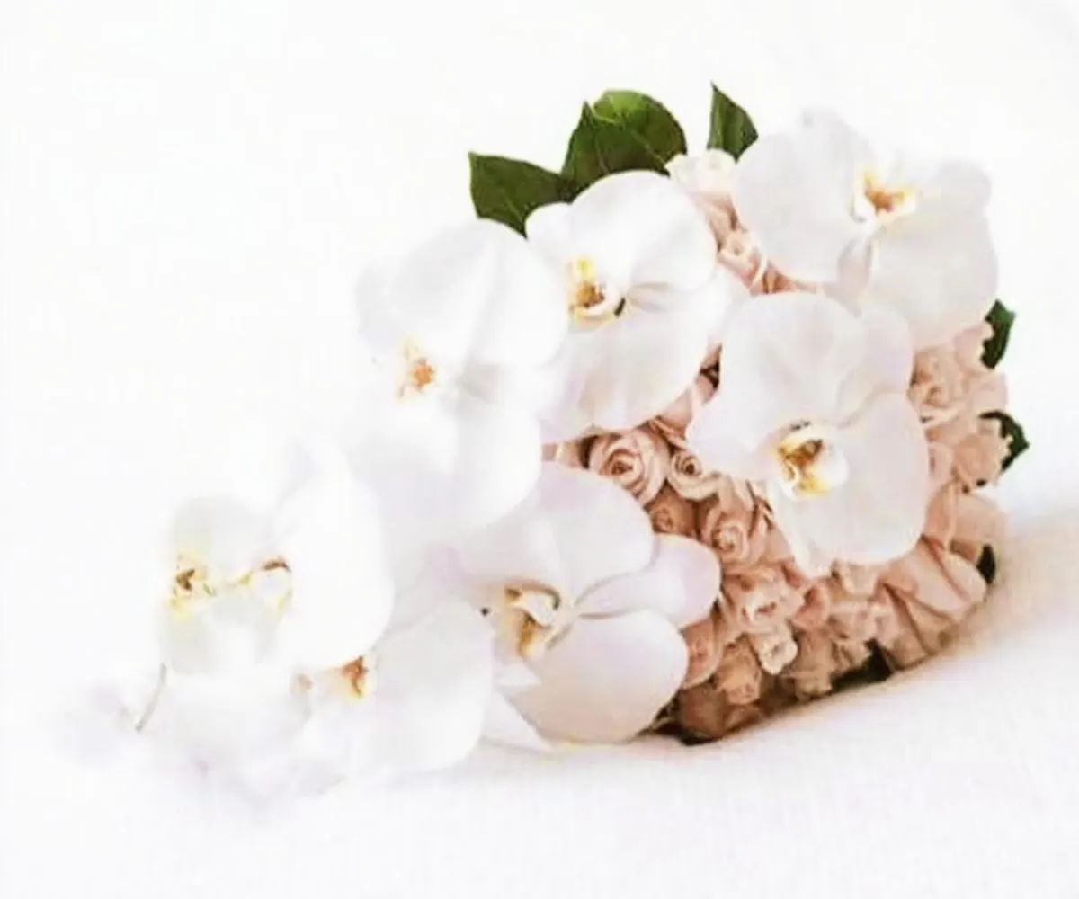 Roses and orchids