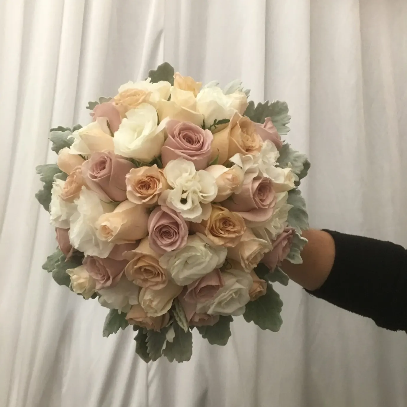 Champagne Roses for Champagne roses