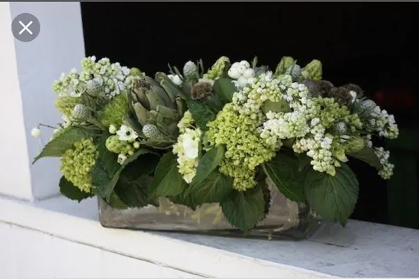 Rectangle Glass Vases for low rectangle vases