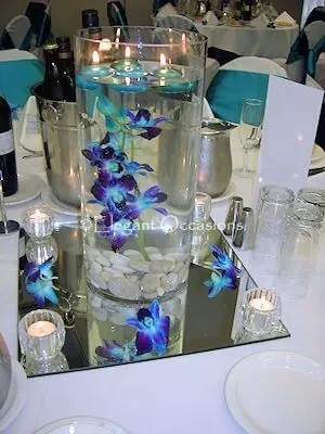 Underwater Orchids for blue orchids