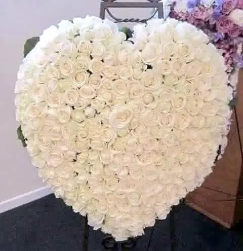 pure heart for pure heart
