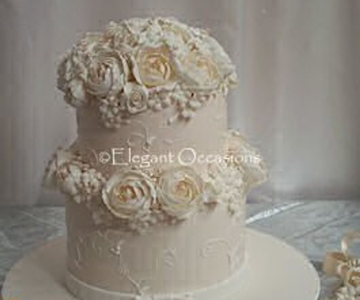 2 tier elegance cake
