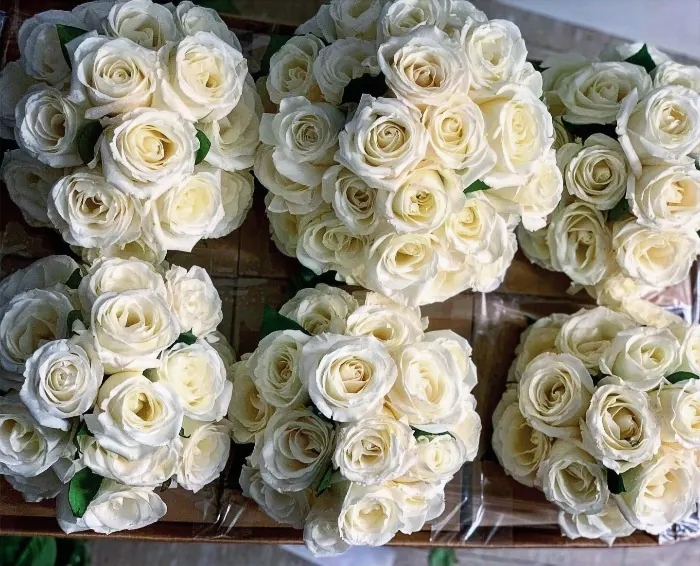 Just White Roses for Just White Roses