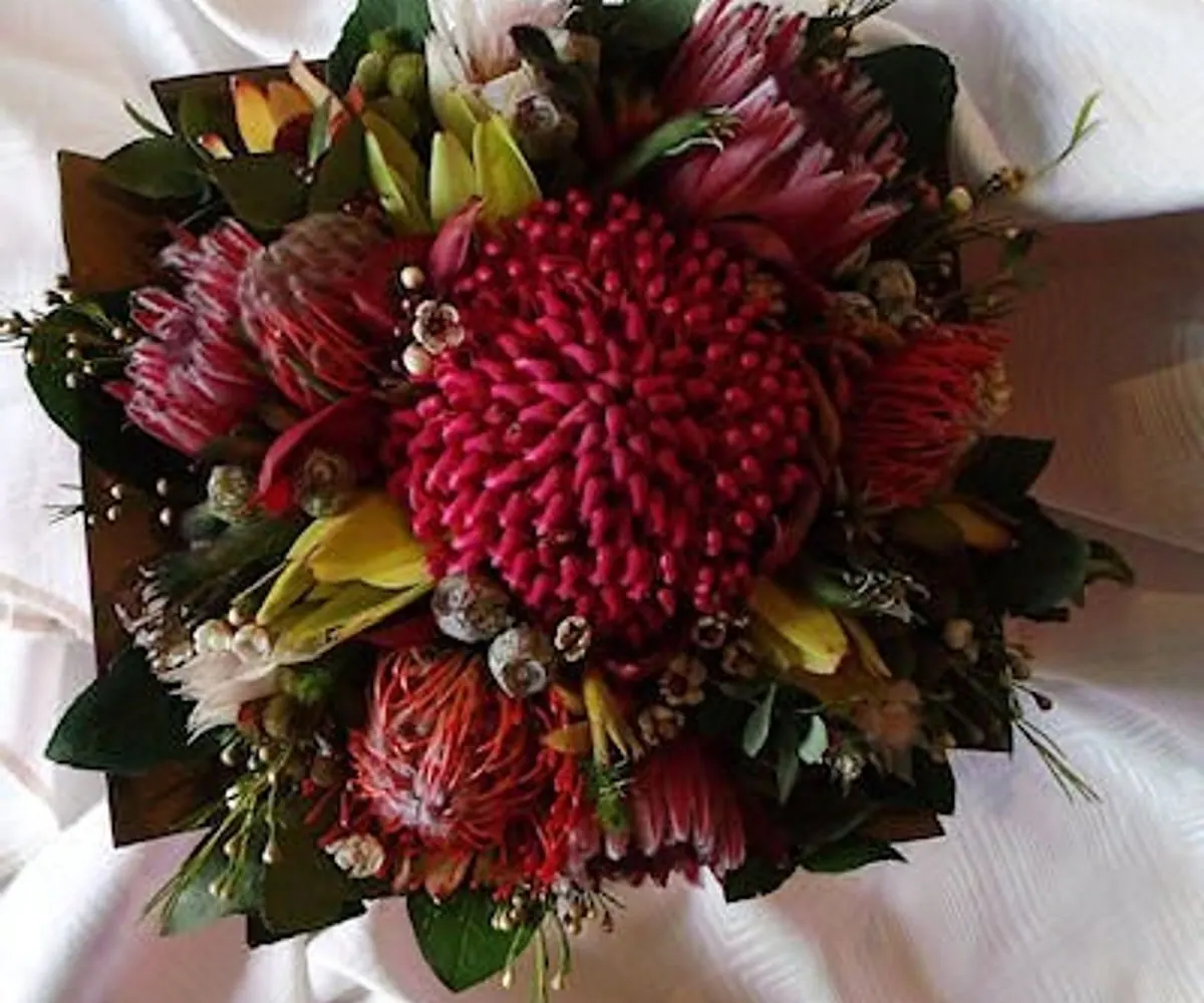 Waratah wedding flowers