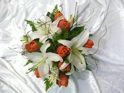 Tulip And Lillies for Lilies and tulips