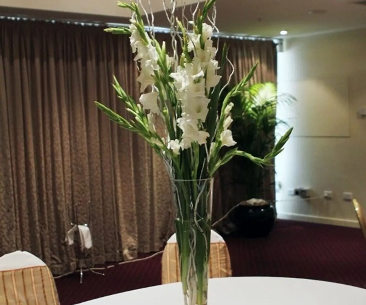 Gladioli and willow