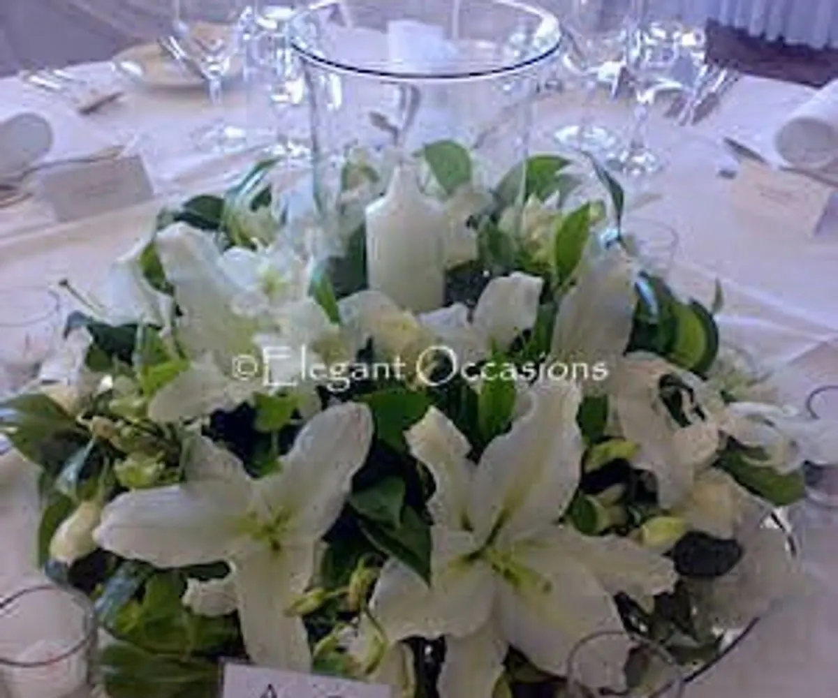 Circle of flowers