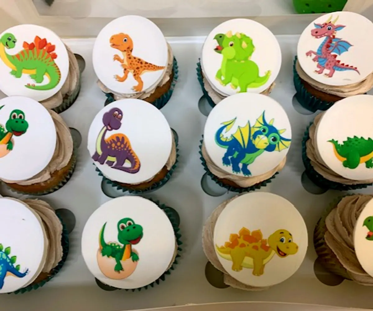 Dinosaur theme 